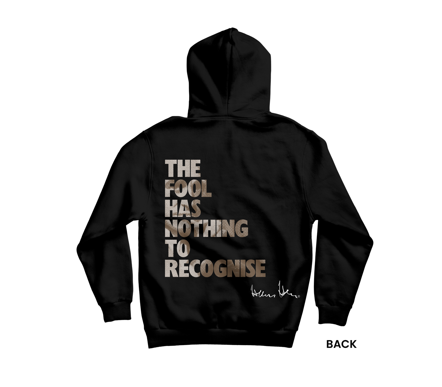 Hans Hess Hoodie: The fool has nothing to recognise
