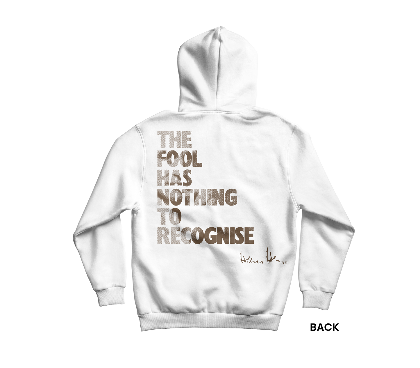 Hans Hess Hoodie: The fool has nothing to recognise